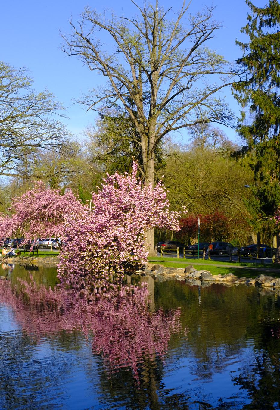 Long's Park